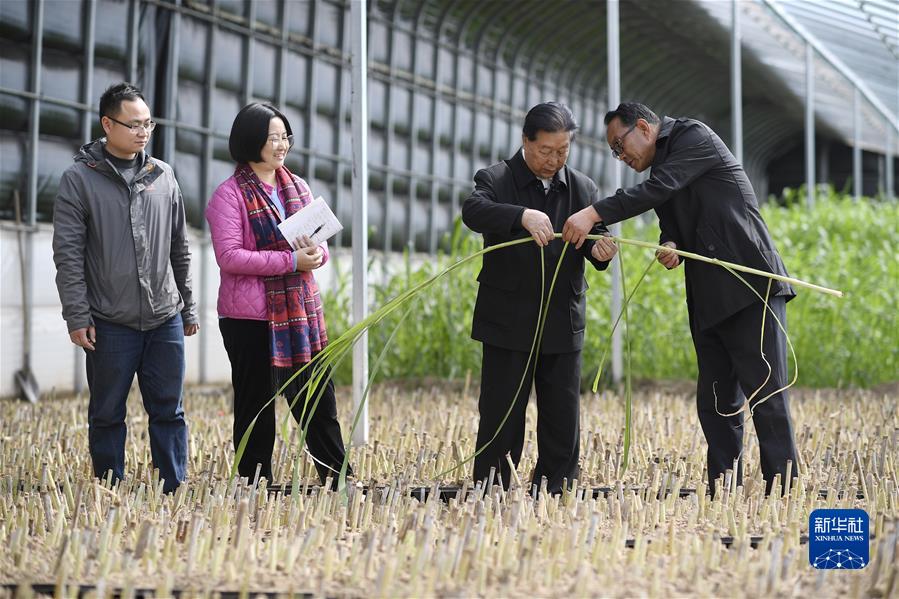 ï¼æ°åå¨åªå¤´æ¡Â·å¾æäºå¨ï¼ï¼6ï¼ä¹ è¿å¹³å³å¿å³æå³å¨èçæäº