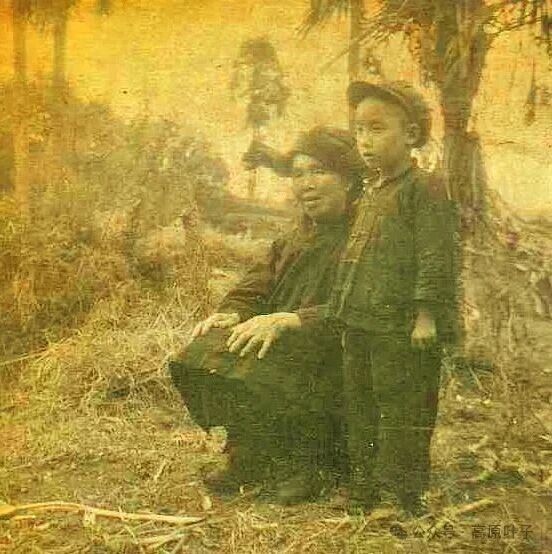 1762411040917351.jpg 23ab171790c3abd27f8741a14969333a.jpg